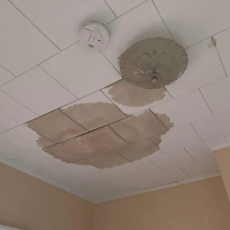 Ceiling Water Damage Repair in Monrovia, IN