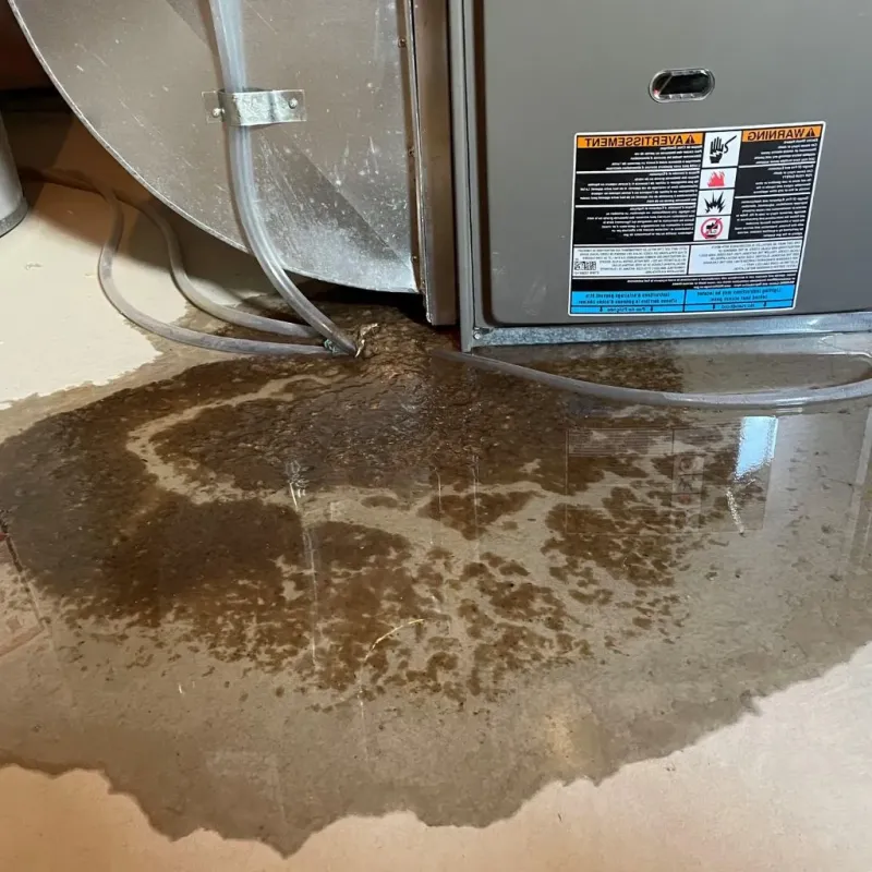 Pipe Burst and Leak Restoration in Monrovia, IN